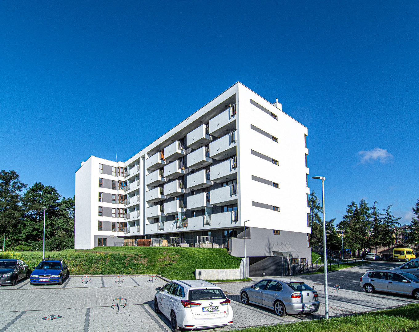Symbioza E1