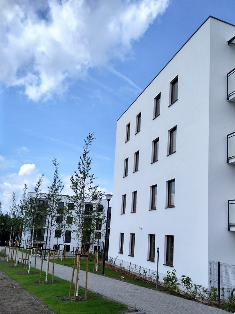 Cedrowa Wolne Miasto etap VII